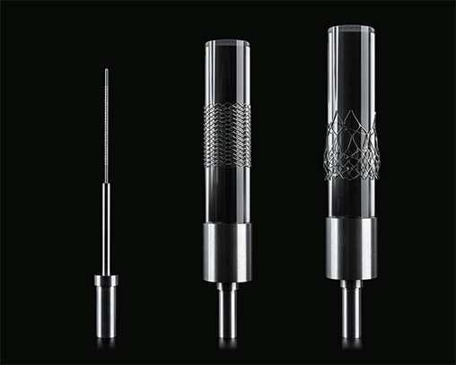 Mandrel fixtures with stent sample