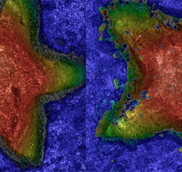 Single-shot optical surface profiling using extended depth of field 3D microscopy